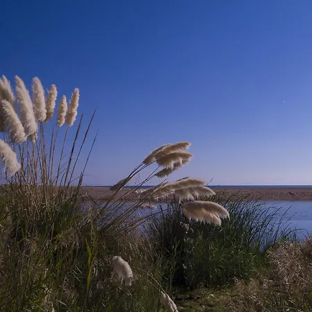Semesterbostad Lavu Santu