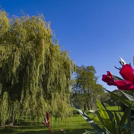Lavu Santu Casa de Férias *