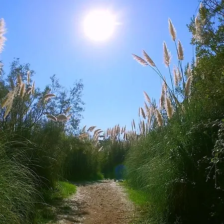 Vakantiehuis Lavu Santu *