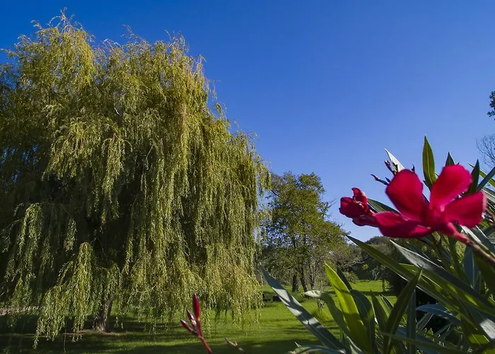 Lavu Santu Feriehus *