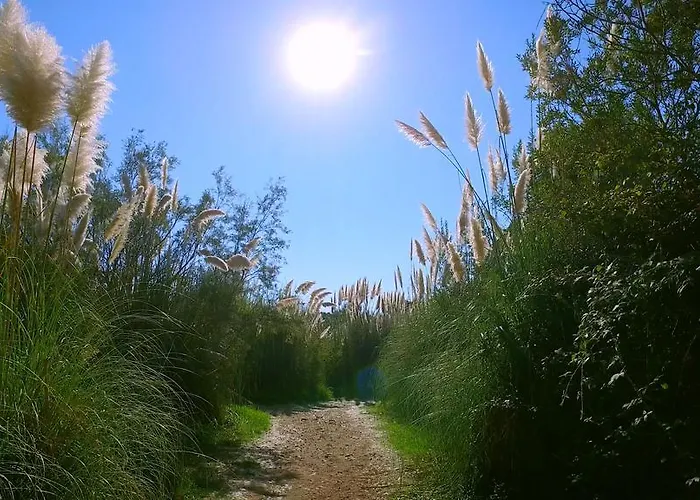 Feriehus Lavu Santu *